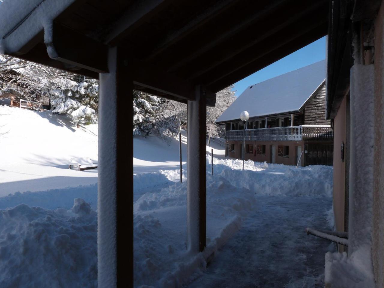 Residence Le Bois De La Reine Super Besse Kültér fotó