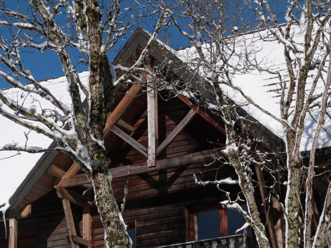 Residence Le Bois De La Reine Super Besse Kültér fotó
