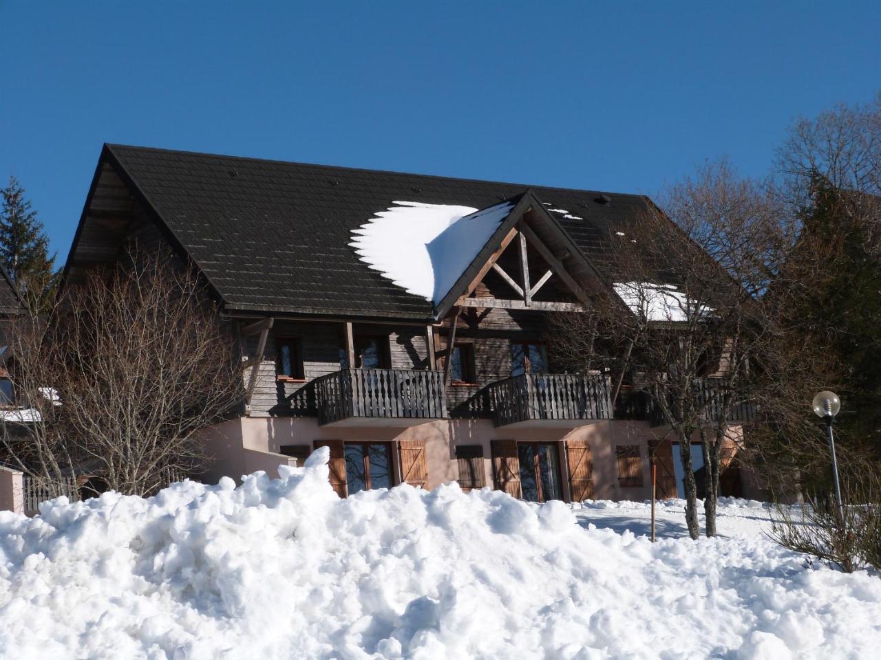 Residence Le Bois De La Reine Super Besse Kültér fotó