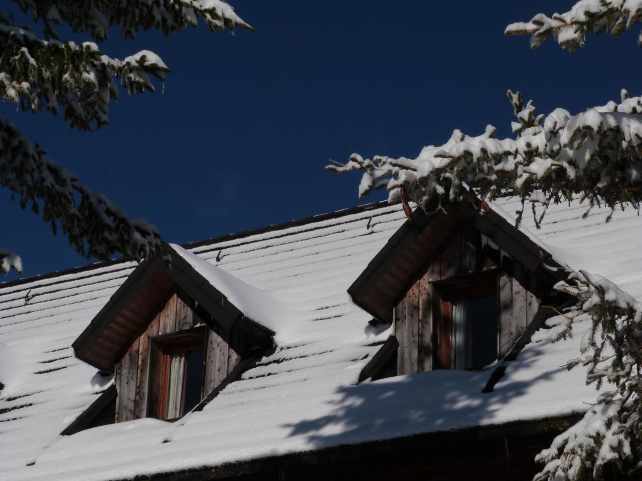 Residence Le Bois De La Reine Super Besse Kültér fotó
