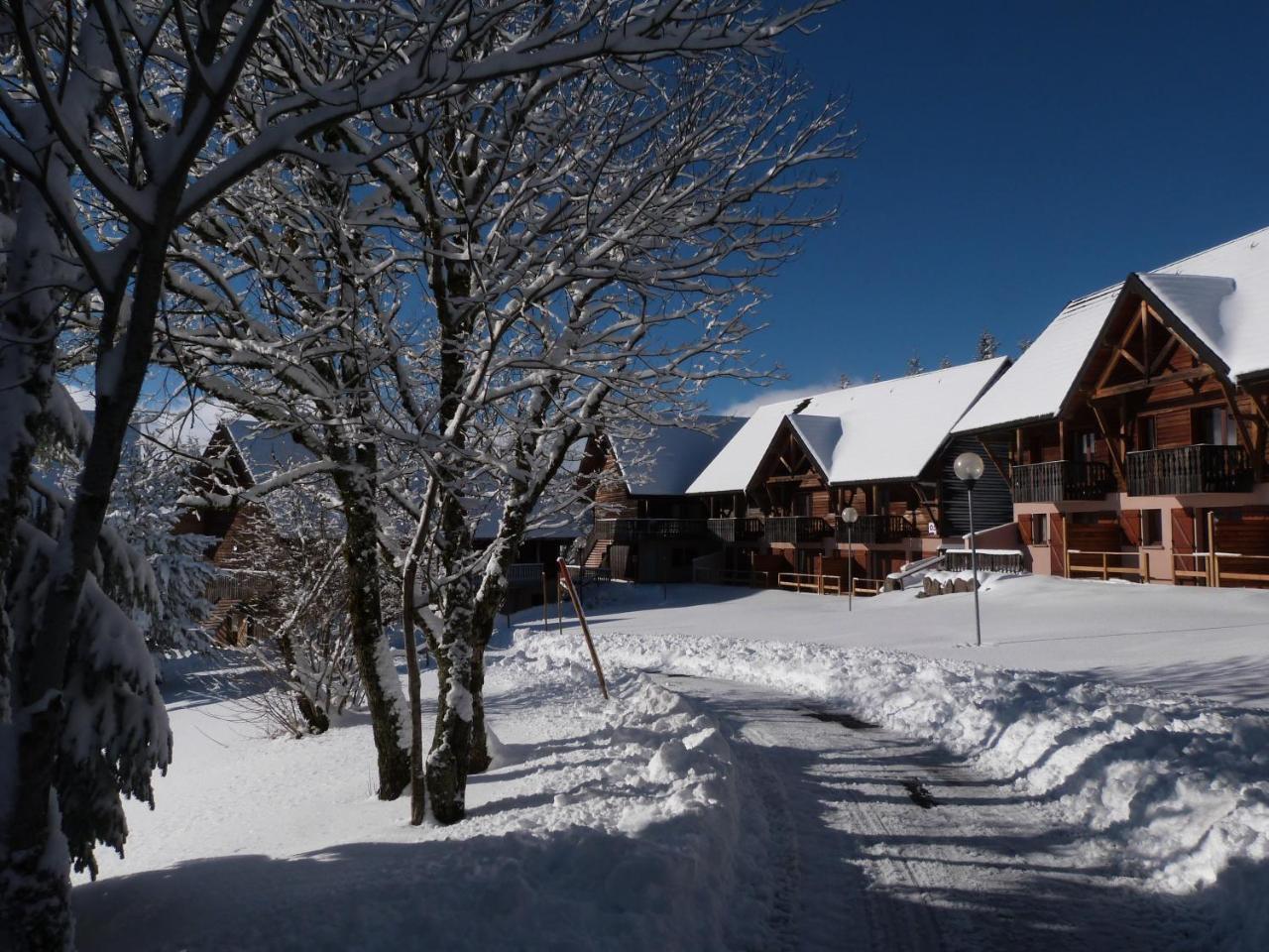 Residence Le Bois De La Reine Super Besse Kültér fotó